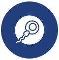 Reproductive Medicine