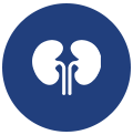 Urology