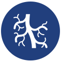 Vascular Surgery